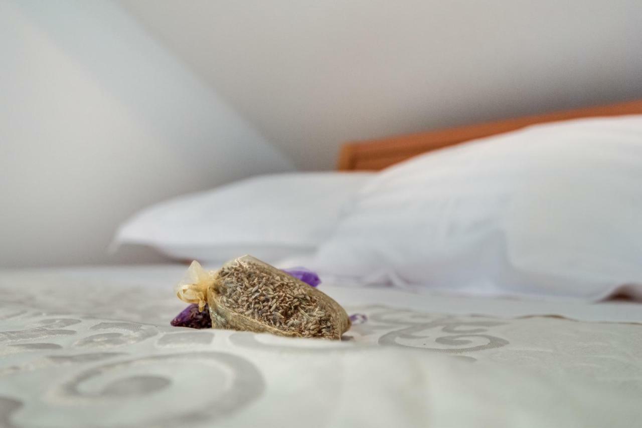 Studio Maslina Apartment Sibenik Luaran gambar